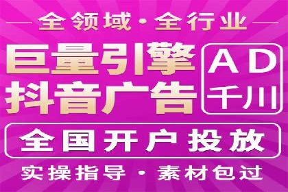 谷歌SEM案例研究：数据分析与效果评估